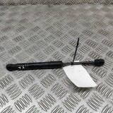 Amortizor capota st&acirc;nga față BMW 3 F30, F80 2016 OEM: 7239233 27550149