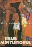 Cumpara ieftin Iisus M&acirc;ntuitorul - Petre Dulfu, Sibiu 1990, 255 pagini