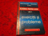 MARIAN ANDRONACHE /NICULAE GHICIU ALGEBRA PENTRU LICEU VOL 1--RF