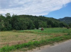 Doua terenuri extravilane 1440 mp si 1500 mp, com. BAITA, jud. HUNEDOARA