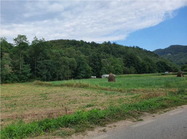 Doua terenuri extravilane 1440 mp si 1500 mp, com. BAITA, jud. HUNEDOARA