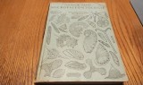 MICROPALEONTOLOGIE Protozoarele - Theodor Neagu - Editura Tehnica, 1979, 404 p. cu ilustratii in text
