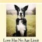 Love Has No Age Limit: Welcoming an Adopted Dog Into Your Home
