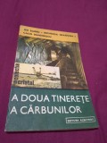 Cumpara ieftin A DOUA TINERETE A CARBUNILOR ILIE BARBU COLECTIA CRISTAL