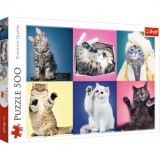 Puzzle Trefl 500 Pisicute, TREFL 500P