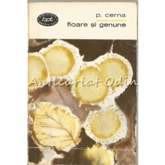 Floare Si Genune - P. Cerna