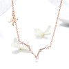 Colier Din Argint Constelatia PESTI cod ARG380k, Argintboutique