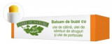 Balsam de buze cu ulei de catina, samburi de struguri si portocale 4.8 g, Verre de Nature