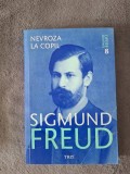 Freud - Nevroza la copil