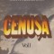 Cenusa, Volumul I