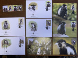 Angola - maimute - colobus - serie 4 timbre MNH, 4 FDC, 4 maxime, fauna