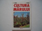 Cultura marului - Lenuta Chira, Ioan Pasca, 2004, M.A.S.T.