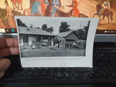 Cultura tutunului Tutova, Vaslui și Vlăduleni, Osica de Jos, Olt, circa 1920 082 foto