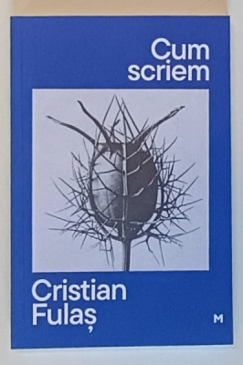 CUM SCRIEM de CRISTIAN FULAS , 2025 foto