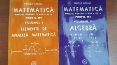 Matematica manual pentru clasa a XII-a 1, 2. Elemente de analiza matematica, Algebra-Mircea Ganga foto