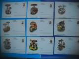 HOPCT LOT NR 360 CIUPERCI DIN ROMANIA -20 CARTI POSTALE-NECIRCULATE