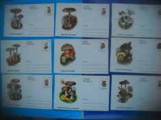 HOPCT LOT NR 360 CIUPERCI DIN ROMANIA -20 CARTI POSTALE-NECIRCULATE