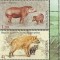 MOLDOVA 2016, Fauna, serie neuzata, MNH