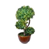 Ghiveci decorativ cu Bonsai artificial, 7x19 cm, ATU-084699, Oem