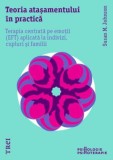 Teoria atasamentului in practica, Trei