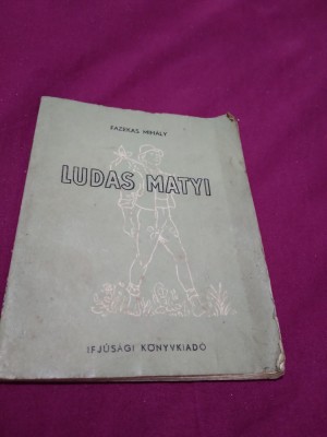 CARTE COPII LUDAS MATYI foto
