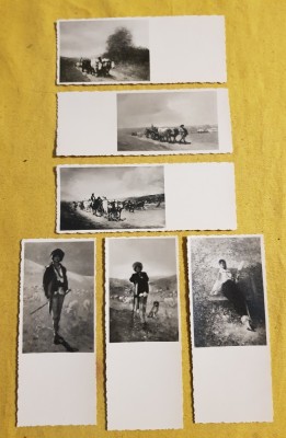6 CARTI POSTALE NECIRCULATE TIP FOTO CU LUCRARI ALE PICTORULUI NICOLAE GRIGORESCU- FORMAT MIC 13,5x5,5 CENTIMETRI-ANII 30-40 foto