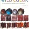 Wild Color: The Complete Guide to Making and Using Natural Dyes