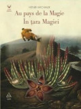 in tara Magiei - Grupul Art