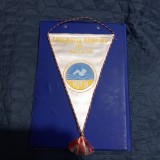 Fanion Fed. romana de Natatie