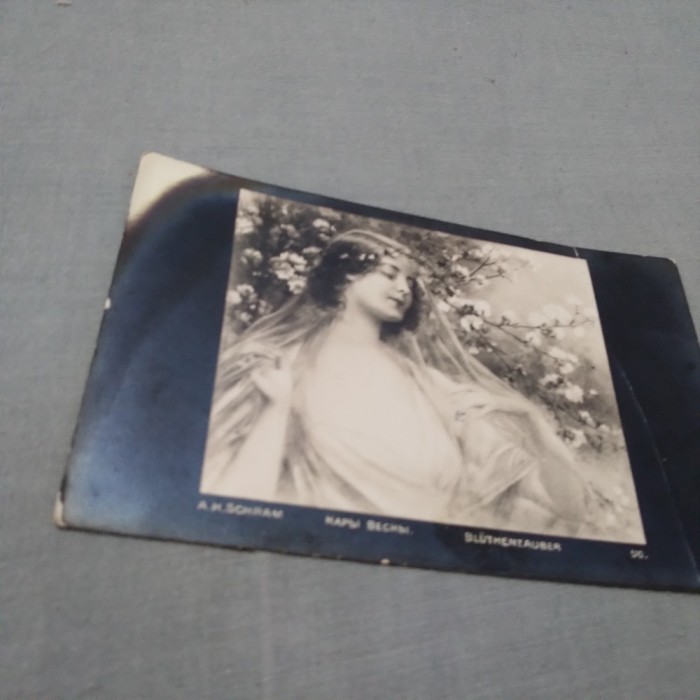 C P 1940 MARGARETA VERNICHESCU-CRUCEA ROSIE-FILIALA BAZALGIC NECIRCULATA