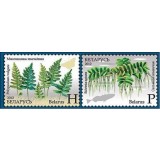 BELARUS 2012 FLORI PLATE FERIGI