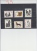 A12 S3 3 - Timbre foarte vechi - Polonia - caini de rasa, Fauna, Stampilat