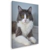 Tablou pisica alba cu gri Tablou canvas pe panza CU RAMA 60x90 cm