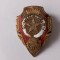 Insigna gospodar de frunte , rara