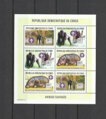 DR CONGO 2003 FAUNA ANIMALE SALBATICE ELEFANTI GORILE HIPOPOTAMI foto
