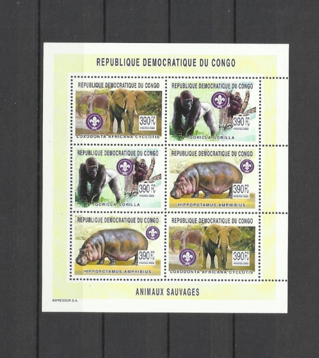 DR CONGO 2003 FAUNA ANIMALE SALBATICE ELEFANTI GORILE HIPOPOTAMI