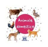 Animale domestice - carte pliată - Hardcover - *** - Didactica Publishing House
