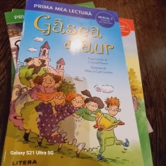 Prima mea lectura - Gasca de aur (Nivelu 3 Poveste cu capitole) foto