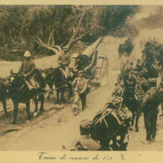 WW1 MILITARi TUN HEAVY CANNON 140 TRANSPORTATION AFRICAN WAR VINTAGE POSTCARDD