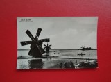 CARTE POSTALA - RPR - DELTA DUNARII - MORI DE VANT LA LETEA
