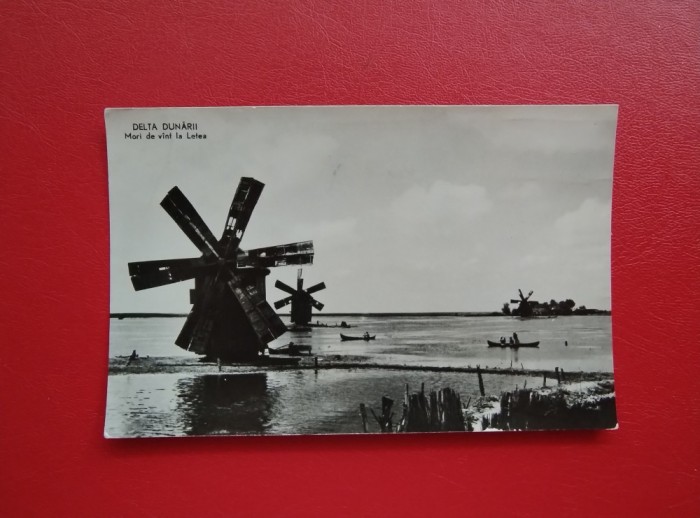 CARTE POSTALA - RPR - DELTA DUNARII - MORI DE VANT LA LETEA