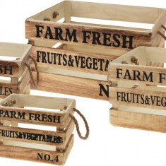 Set 4 cutii pentru fructe/legume Farm Fresh, lemn/sfoara, maro/negru