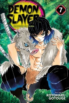 Demon Slayer: Kimetsu No Yaiba, Vol. 7 foto