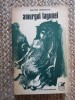 Anton Iordache - Amurgul lagunei
