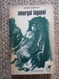 Anton Iordache - Amurgul lagunei
