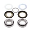 KIT RULMENTI DE JUG FURCA ALL BALLS RACING AB22-1011
