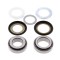 KIT RULMENTI DE JUG FURCA ALL BALLS RACING AB22-1011