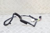 Cablaj ușă dreapta spate TESLA MODEL X 2020 OEM: 1063406-00-G 21096022