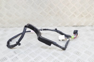 Cablaj ușă dreapta spate TESLA MODEL X 2020 OEM: 1063406-00-G 21096022 foto