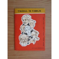 Tanarul in familie (1979)